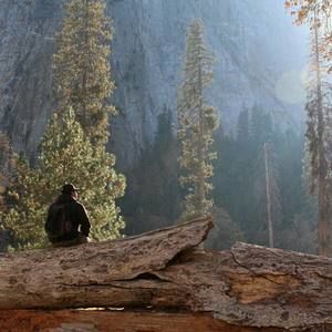 Meet your Posher, Luis